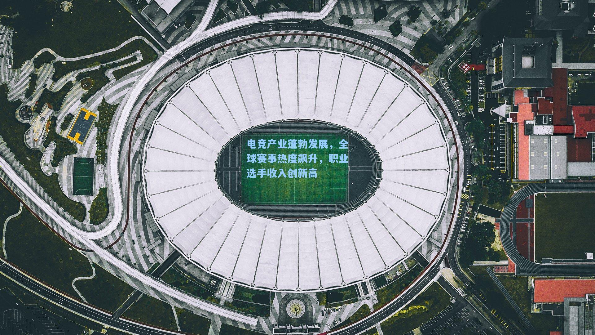 电竞产业蓬勃发展，全球赛事热度飙升，职业选手收入创新高